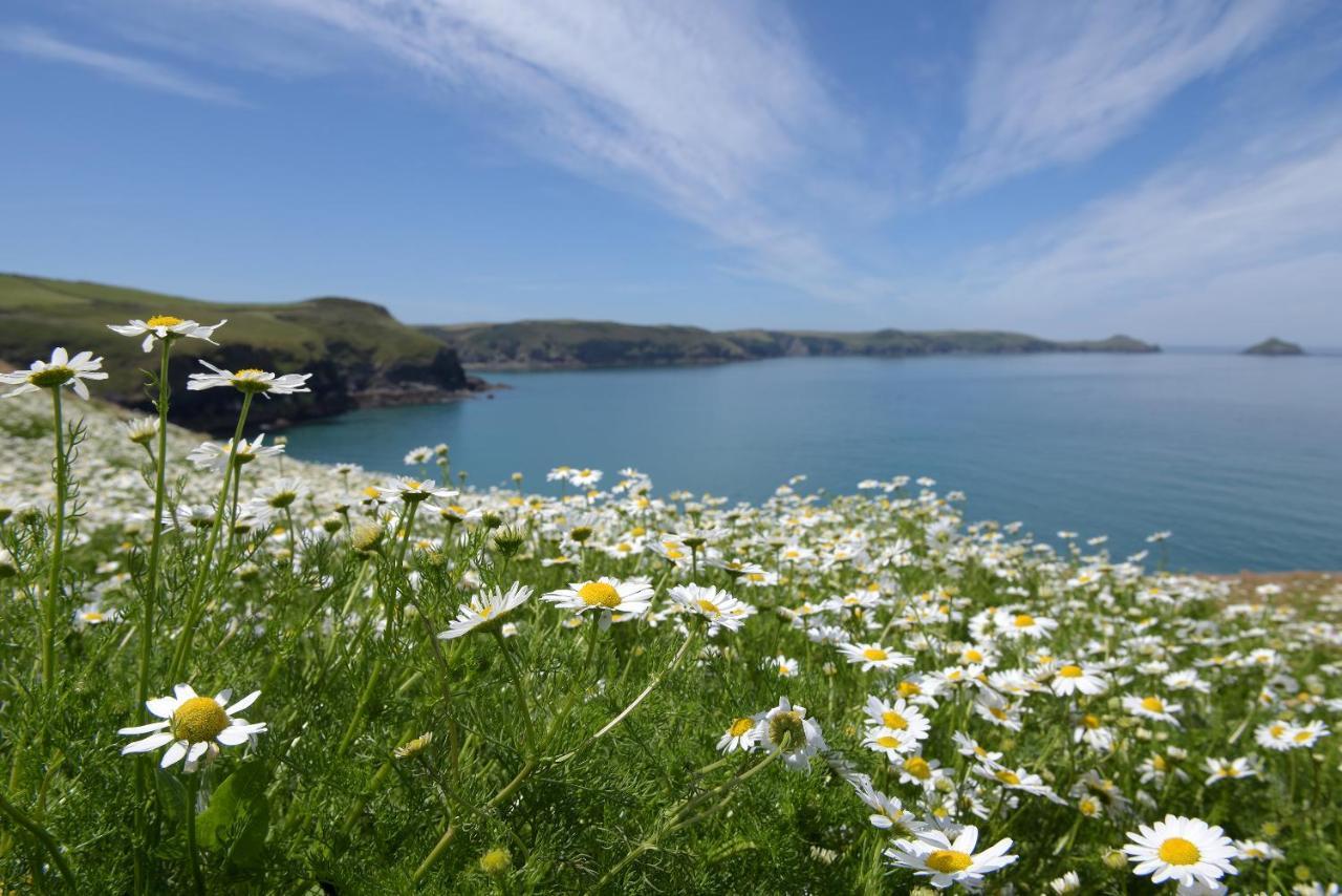 בודמין Tranquil Cornish Retreat Close To Port Isaac Beaches And Moor מראה חיצוני תמונה